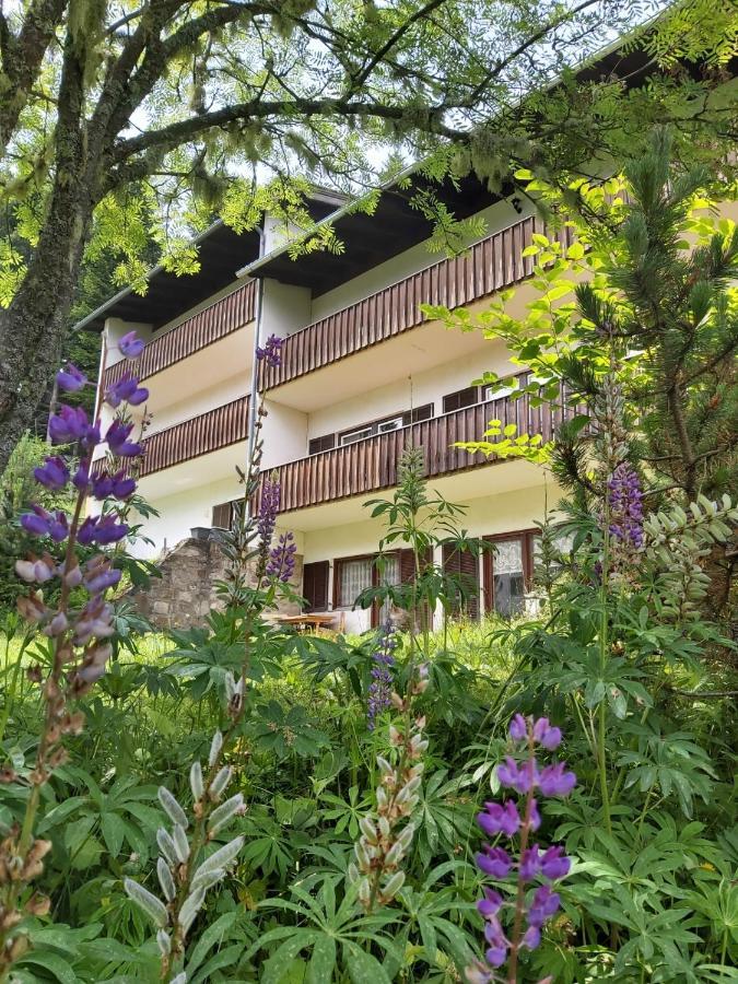 Korlape Apartman 4.2 Wolfsberg Eksteriør billede